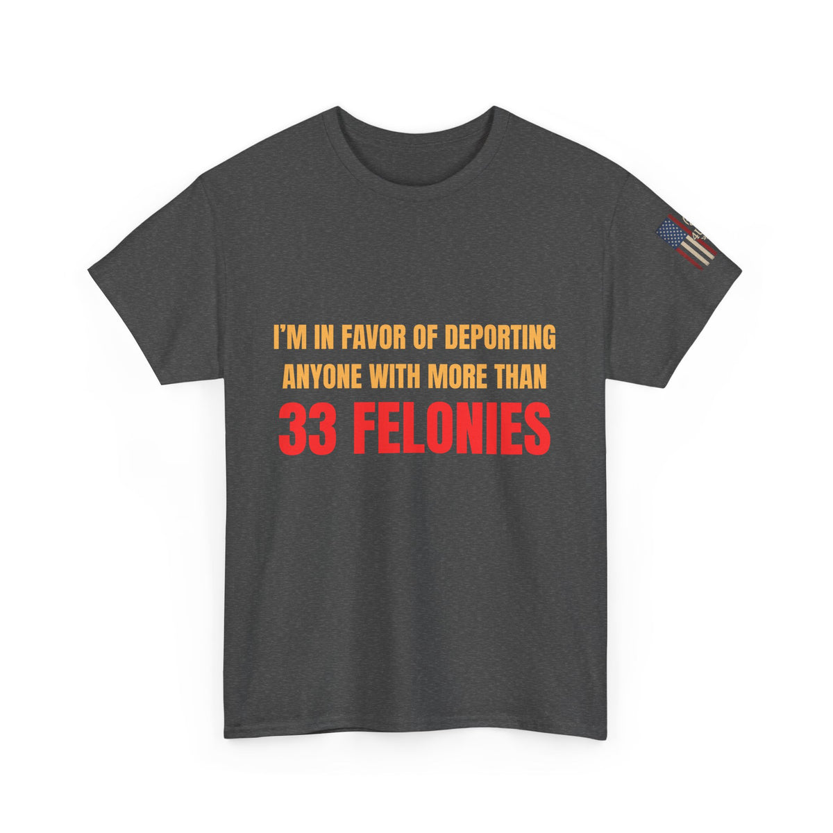 👉 “33+ Felonies Deportation Tee – Bold Statement Shirt”